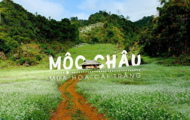 MÙA NÀY MỘC CHÂU CÓ GÌ ĐẶC BIỆT