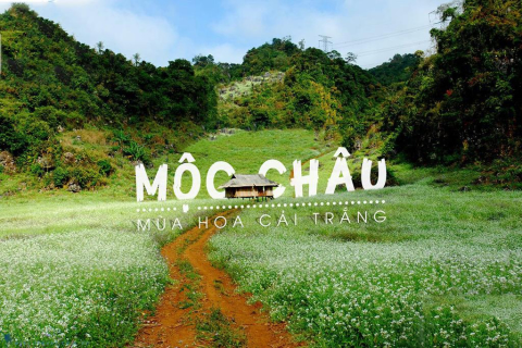 MÙA NÀY MỘC CHÂU CÓ GÌ ĐẶC BIỆT