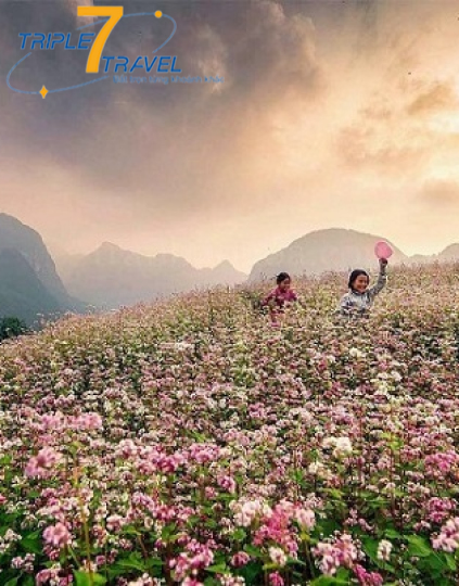 HÀ NỘI – HÀ GIANG 3 NGÀY 3 ĐÊM