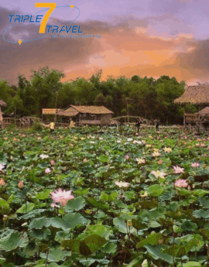ĐỒNG THÁP – SA ĐÉC – TRÀM CHIM 