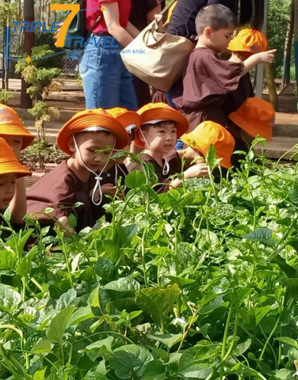 Khu dã ngoại Green Park Củ Chi
