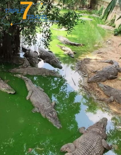 KHU DU LỊCH SINH THÁI VƯỜN XOÀI ĐỒNG NAI