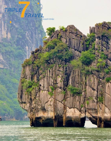 HCM - Ninh Bình - Hạ Long - Hà Nội – Sapa