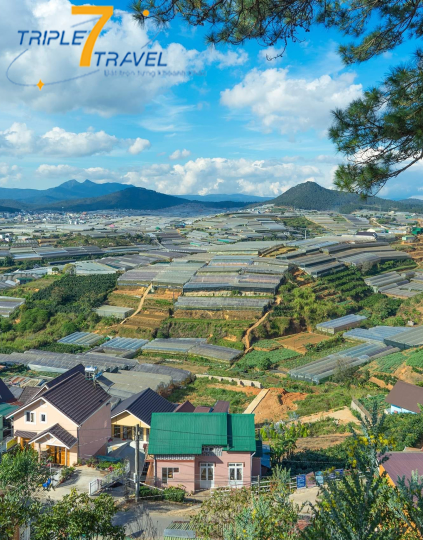 TOUR ĐÀ LẠT - THIẾT KẾ ĐẶC BIỆT