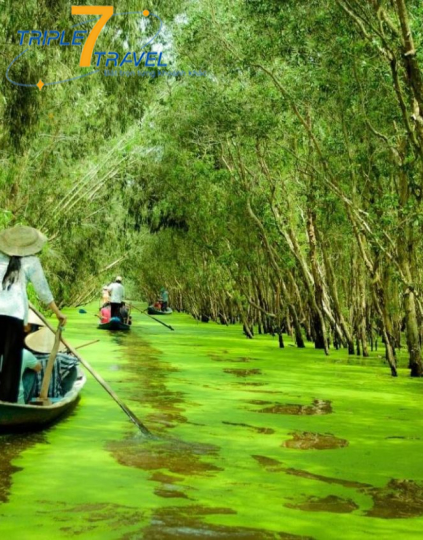XUÔI VỀ MIỀN TÂY 