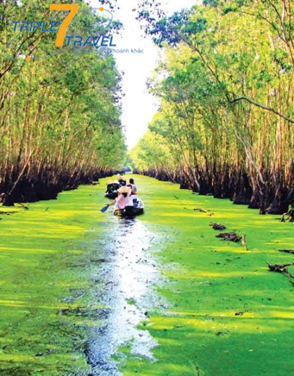 ĐỒNG THÁP – SA ĐÉC – TRÀM CHIM 