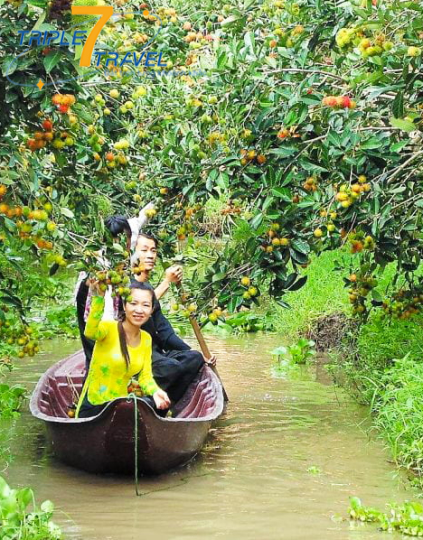 XUÔI VỀ MIỀN TÂY 